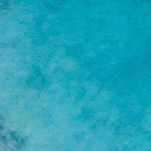 Grid image 6