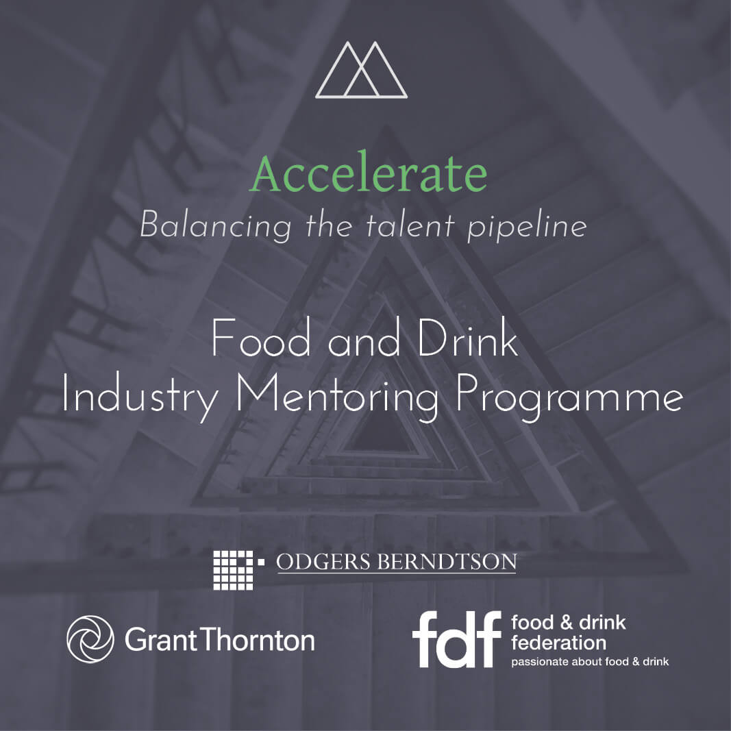 odgers berndtson - Accelerate mentoring CTA box image