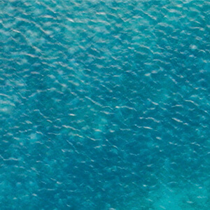 Grid image 1