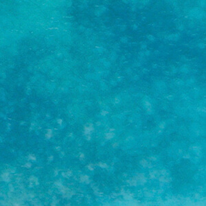Grid image 8