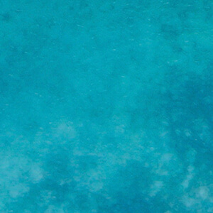 Grid image 7